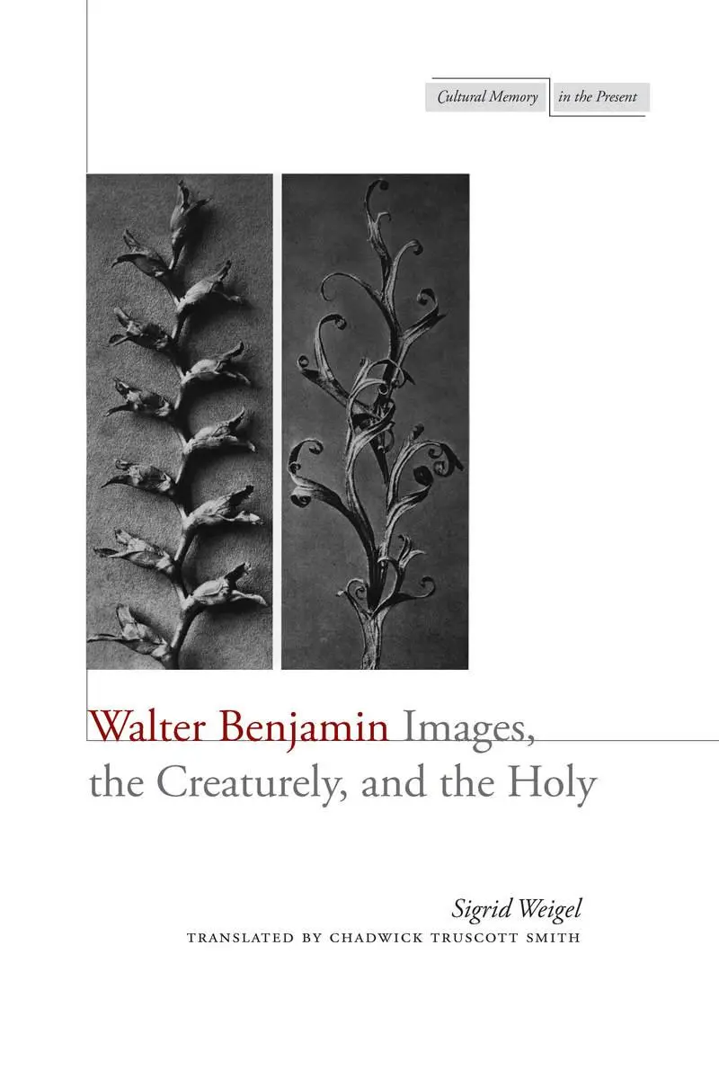 Cover: 9780804780605 | Walter Benjamin | Images, the Creaturely, and the Holy | Sigrid Weigel