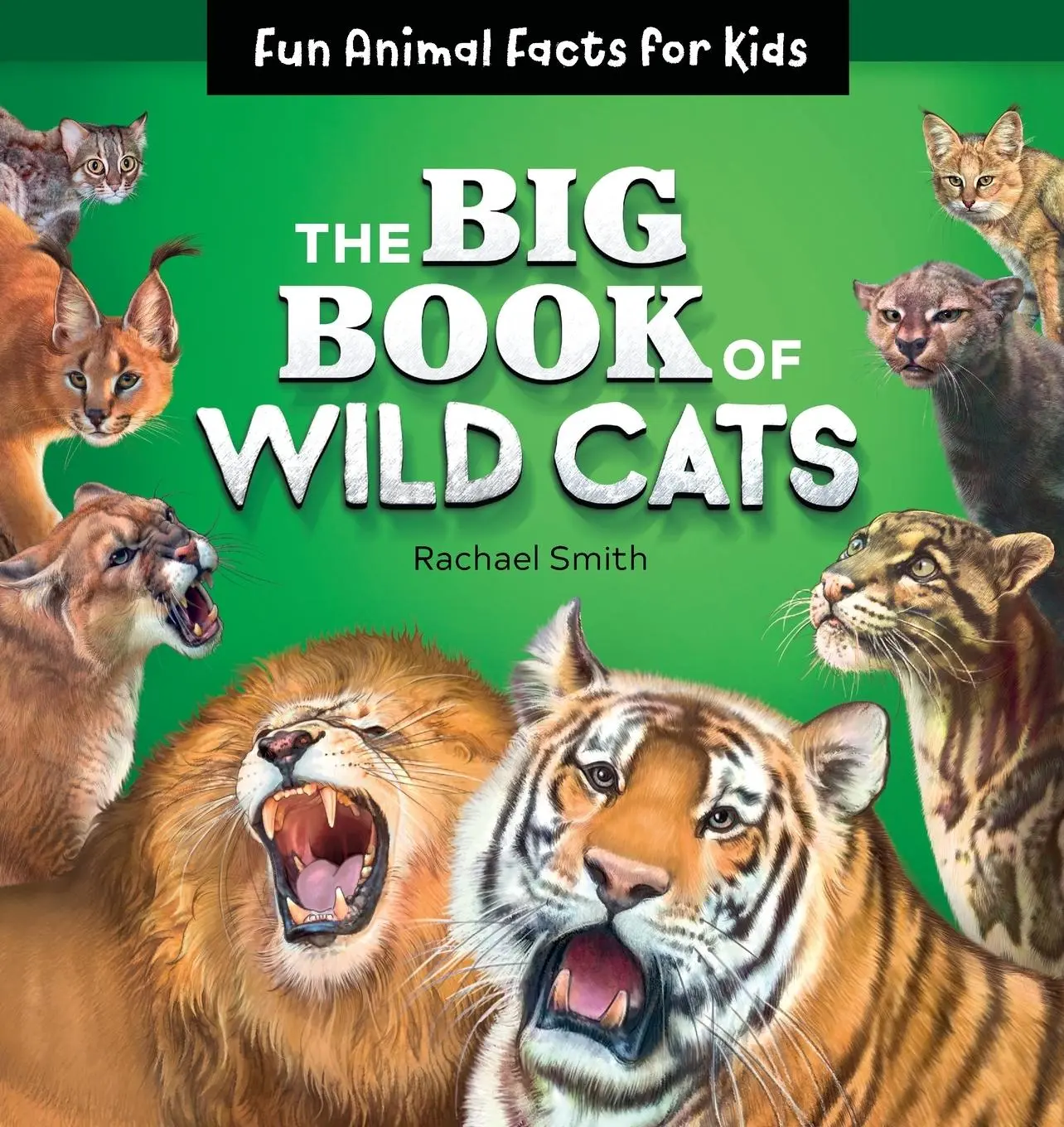 Cover: 9781646110605 | The Big Book of Wild Cats | Fun Animal Facts for Kids | Rachael Smith