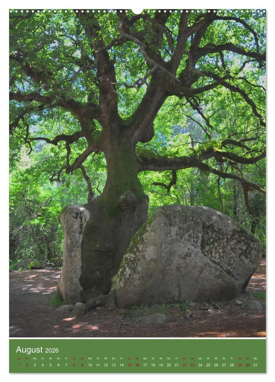 Bild: 9783516390605 | Korsika - Felsen und Meer (Wandkalender 2026 DIN A2 hoch), CALVENDO...