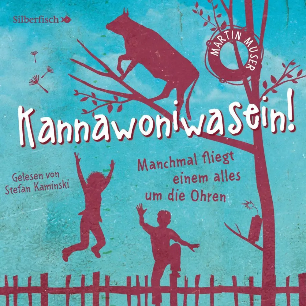 Cover: 9783745600605 | Kannawoniwasein - Manchmal fliegt einem alles um die Ohren,2 Audio-CD