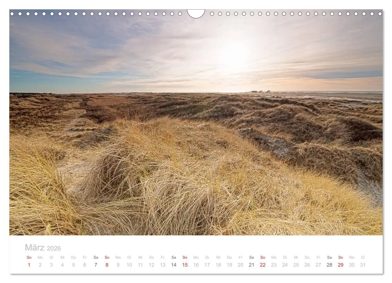 Bild: 9783516070705 | St. Peter-Ording (Wandkalender 2026 DIN A3 quer), CALVENDO...