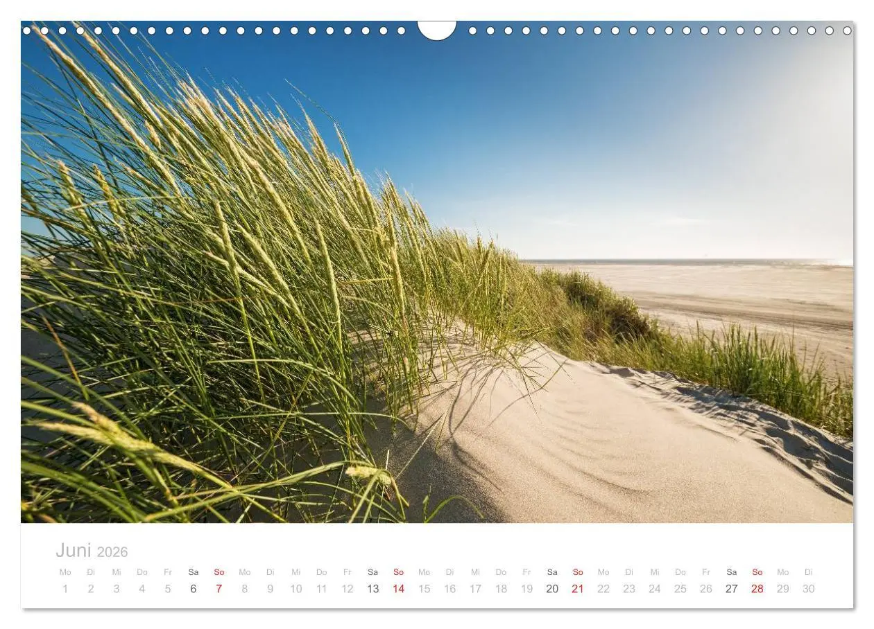 Bild: 9783516070705 | St. Peter-Ording (Wandkalender 2026 DIN A3 quer), CALVENDO...