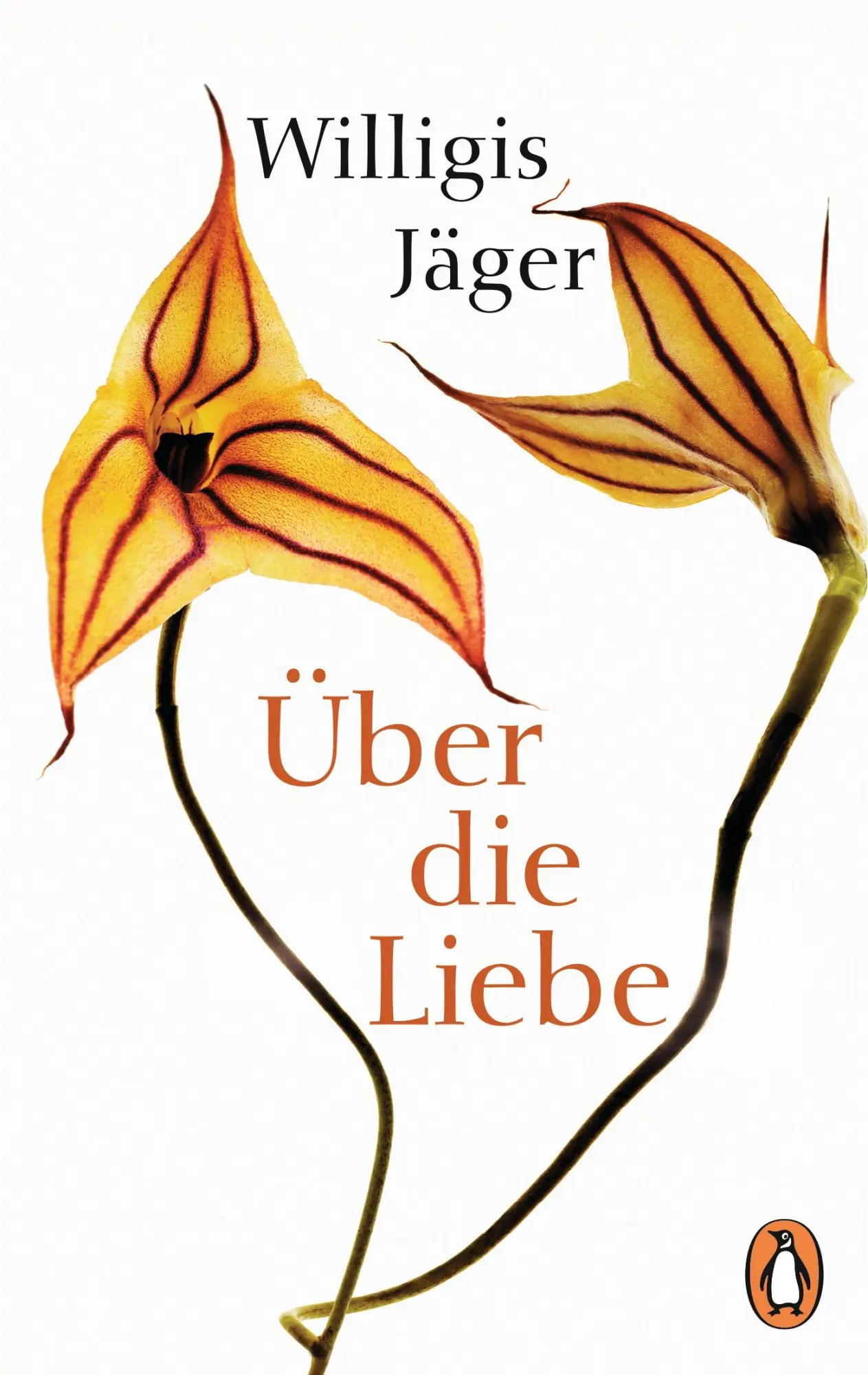 Cover: 9783328100805 | Über die Liebe | Willigis Jäger Osb | Taschenbuch | 144 S. | Deutsch