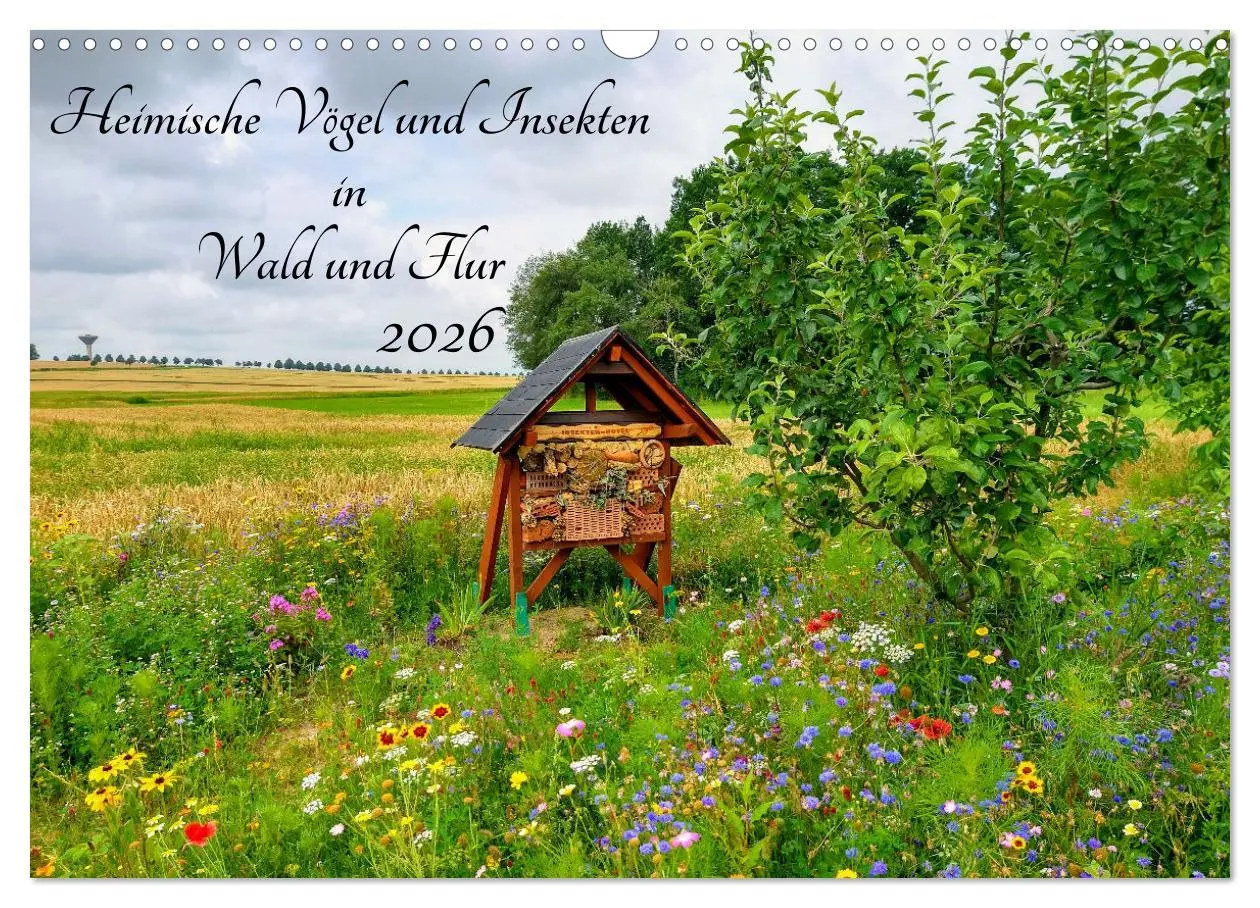 Cover: 9783457590805 | Heimische Vögel und Insekten in Wald und Flur (Wandkalender 2026...