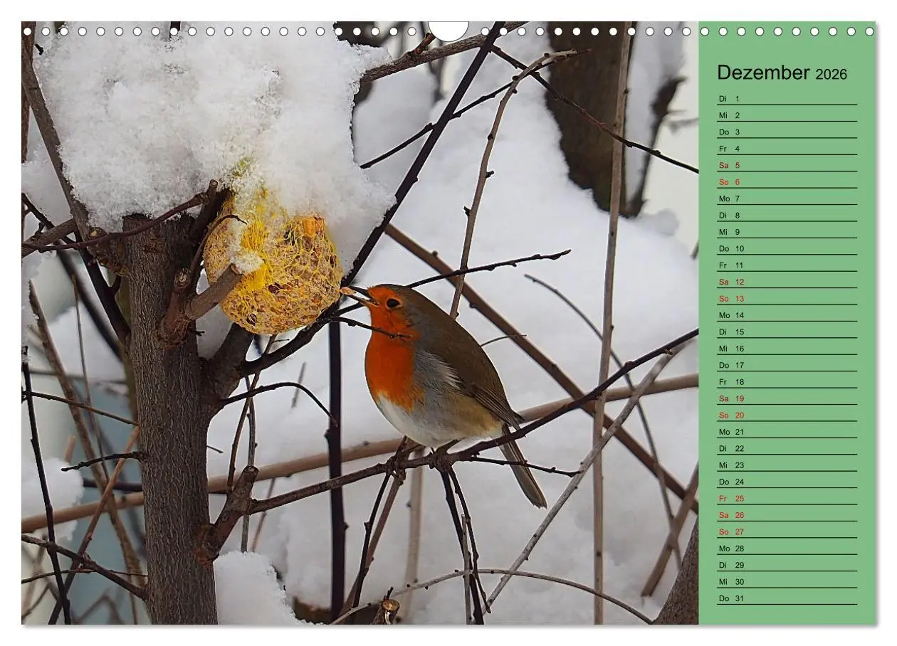 Bild: 9783457590805 | Heimische Vögel und Insekten in Wald und Flur (Wandkalender 2026...