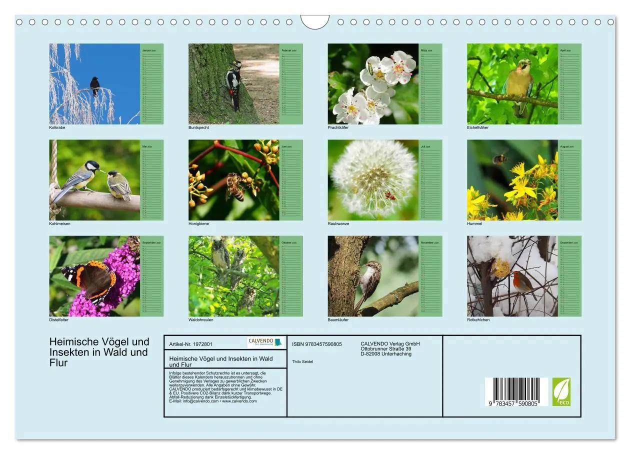 Bild: 9783457590805 | Heimische Vögel und Insekten in Wald und Flur (Wandkalender 2026...