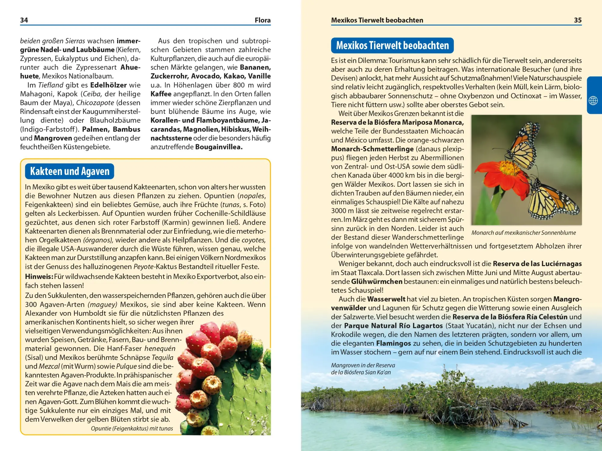 Bild: 9783689860905 | Reise Know-How Reiseführer Mexiko kompakt | Dorit Heike Gruhn (u. a.)