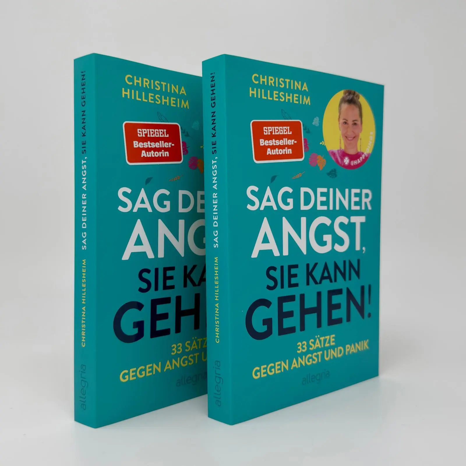 Bild: 9783793400905 | Sag deiner Angst, sie kann gehen! | Christina Hillesheim | Taschenbuch