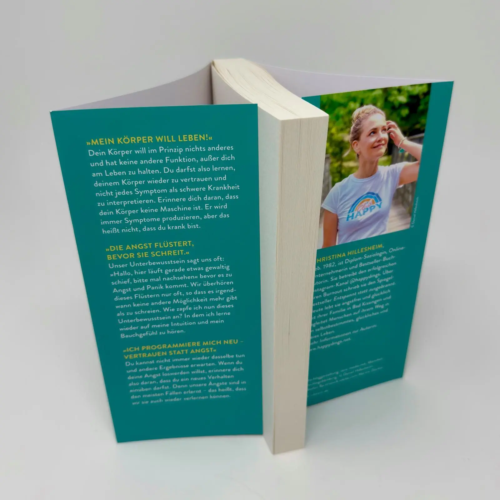 Bild: 9783793400905 | Sag deiner Angst, sie kann gehen! | Christina Hillesheim | Taschenbuch