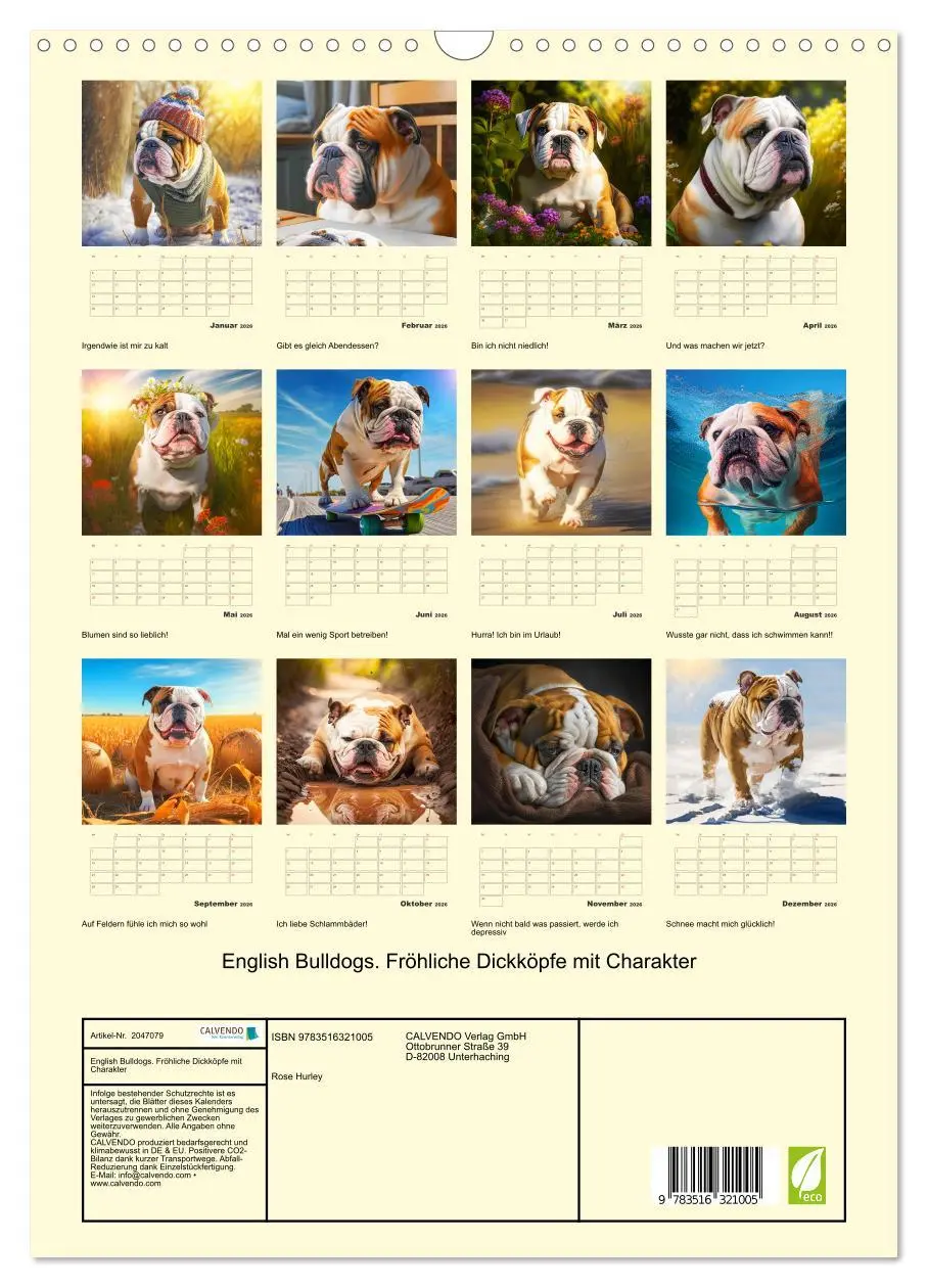 Bild: 9783516321005 | English Bulldogs. Fröhliche Dickköpfe mit Charakter (Wandkalender...