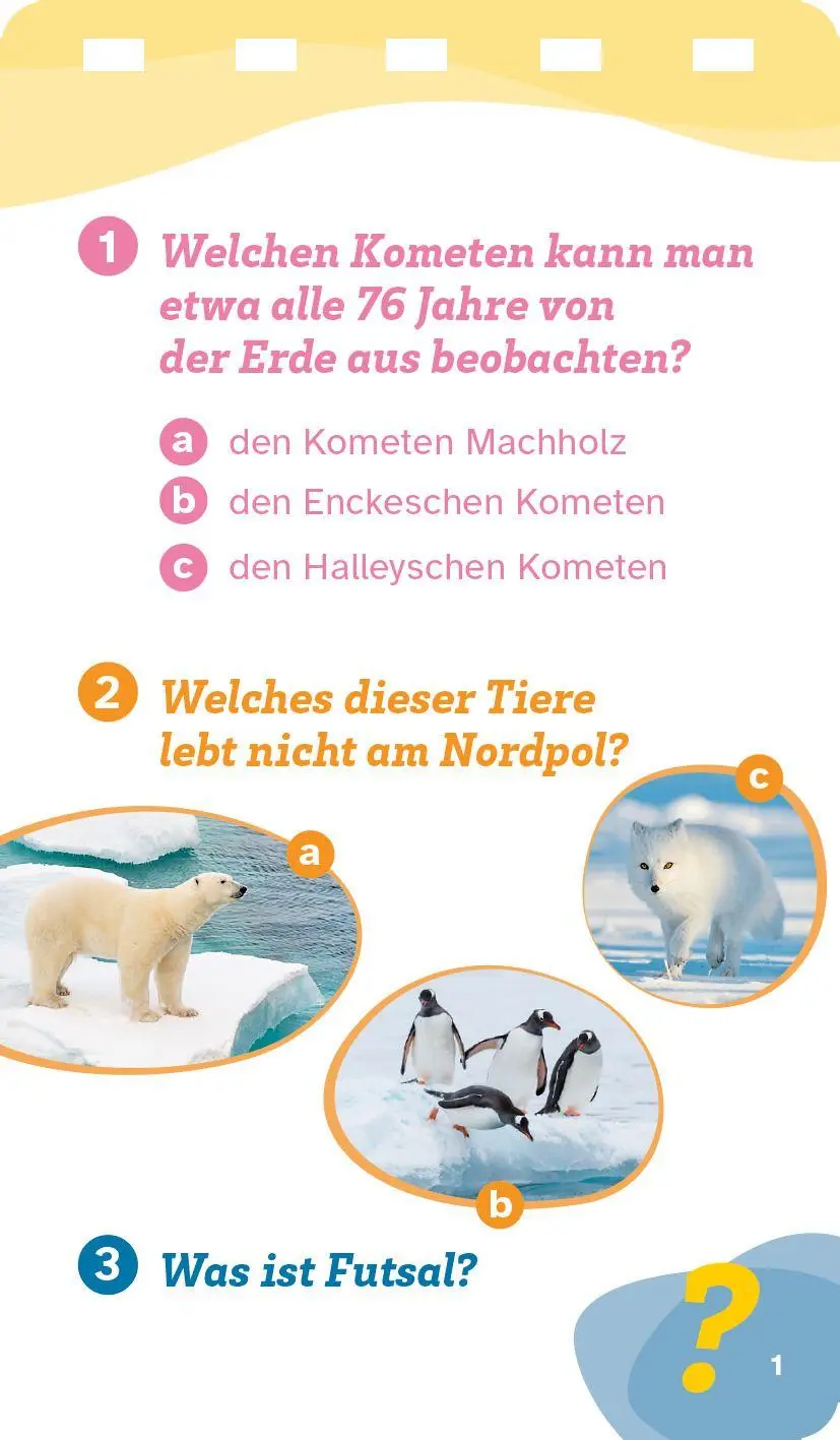 Bild: 9783788681005 | Best-of WAS IST WAS Quiz | KG | Taschenbuch | WAS IST WAS Quizblöcke
