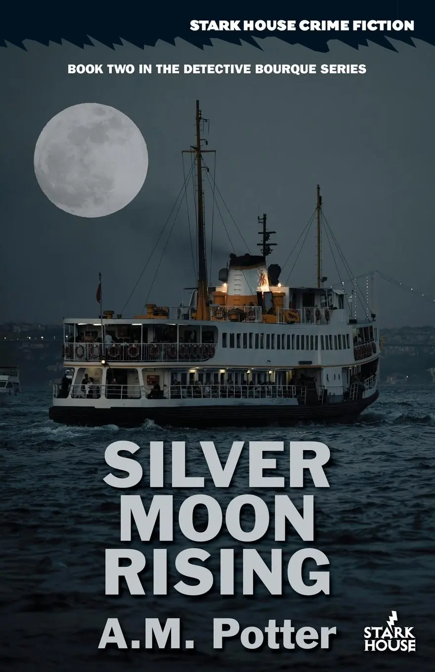 Cover: 9798886011005 | Silver Moon Rising | A. M. Potter | Taschenbuch | Englisch | 2024