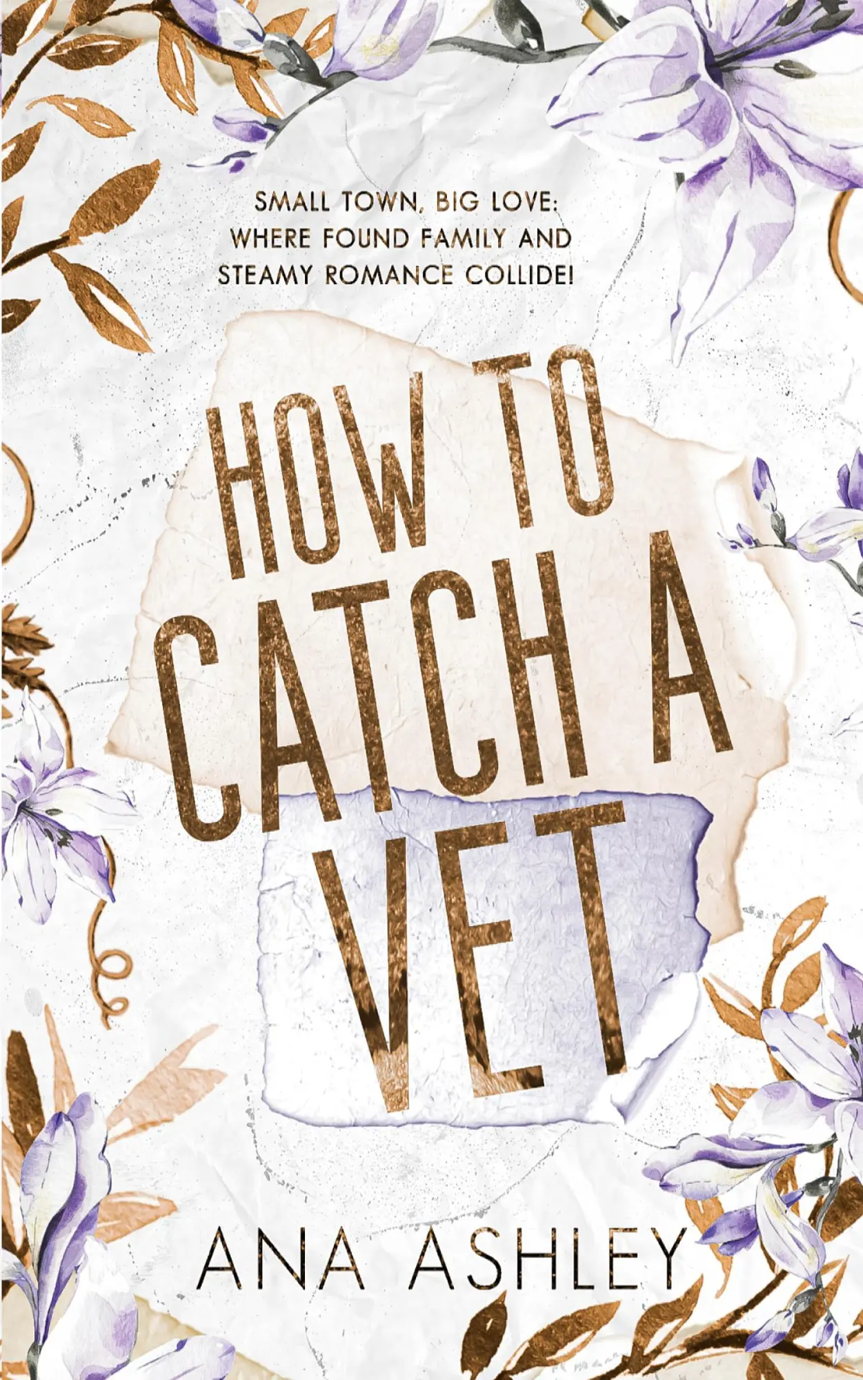 Cover: 9781915031105 | How to Catch a Vet | an opposites attract MM Romance | Ana Ashley