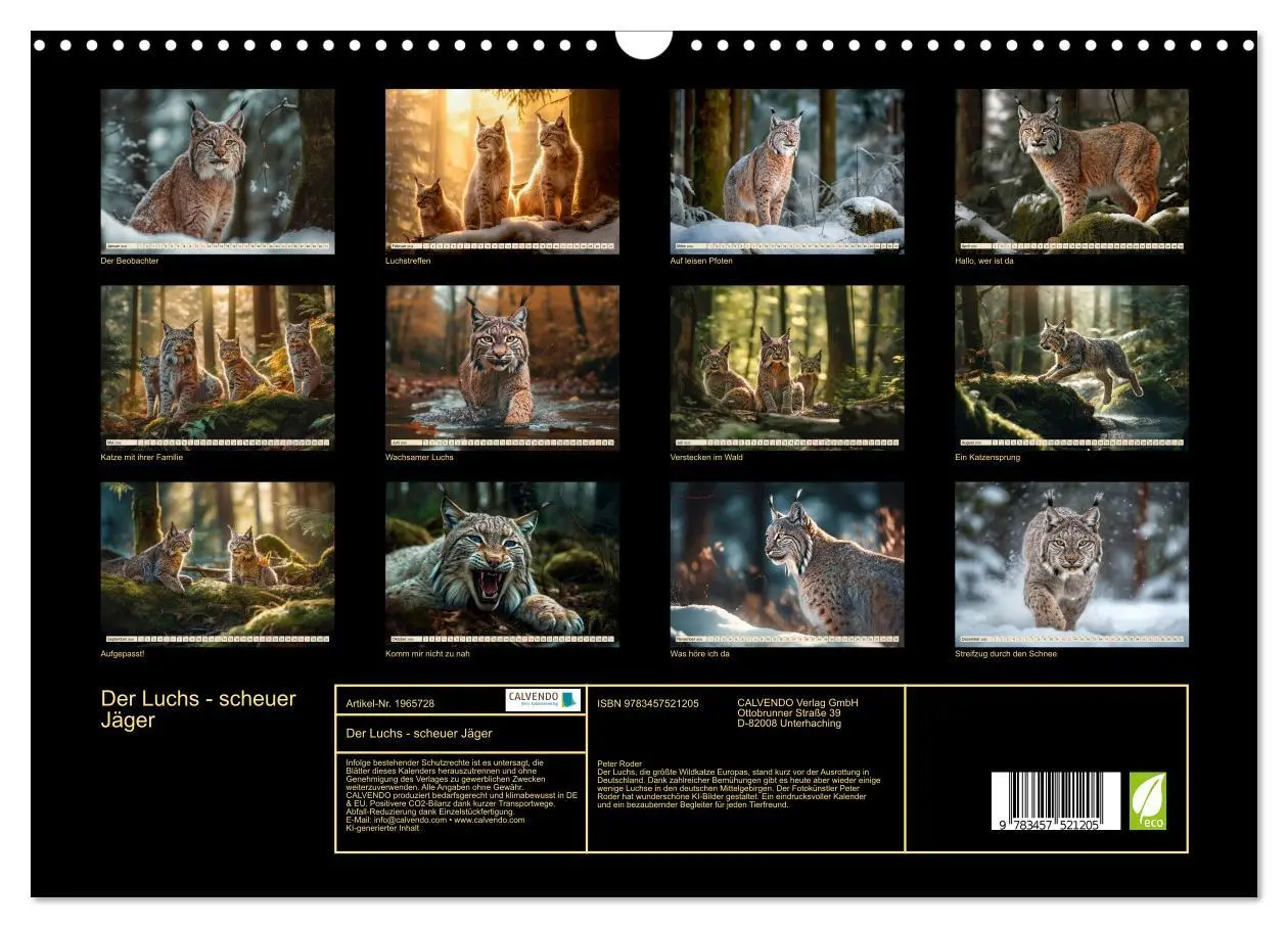Bild: 9783457521205 | Der Luchs - scheuer Jäger (Wandkalender 2026 DIN A3 quer), CALVENDO...