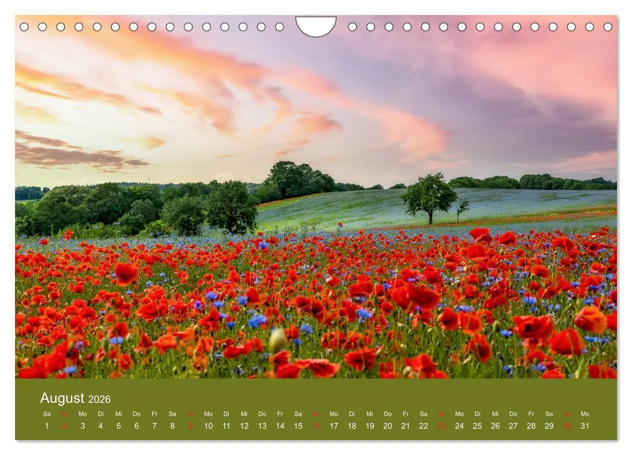 Bild: 9783457691205 | Mohnblumen Romantik (Wandkalender 2026 DIN A4 quer), CALVENDO...