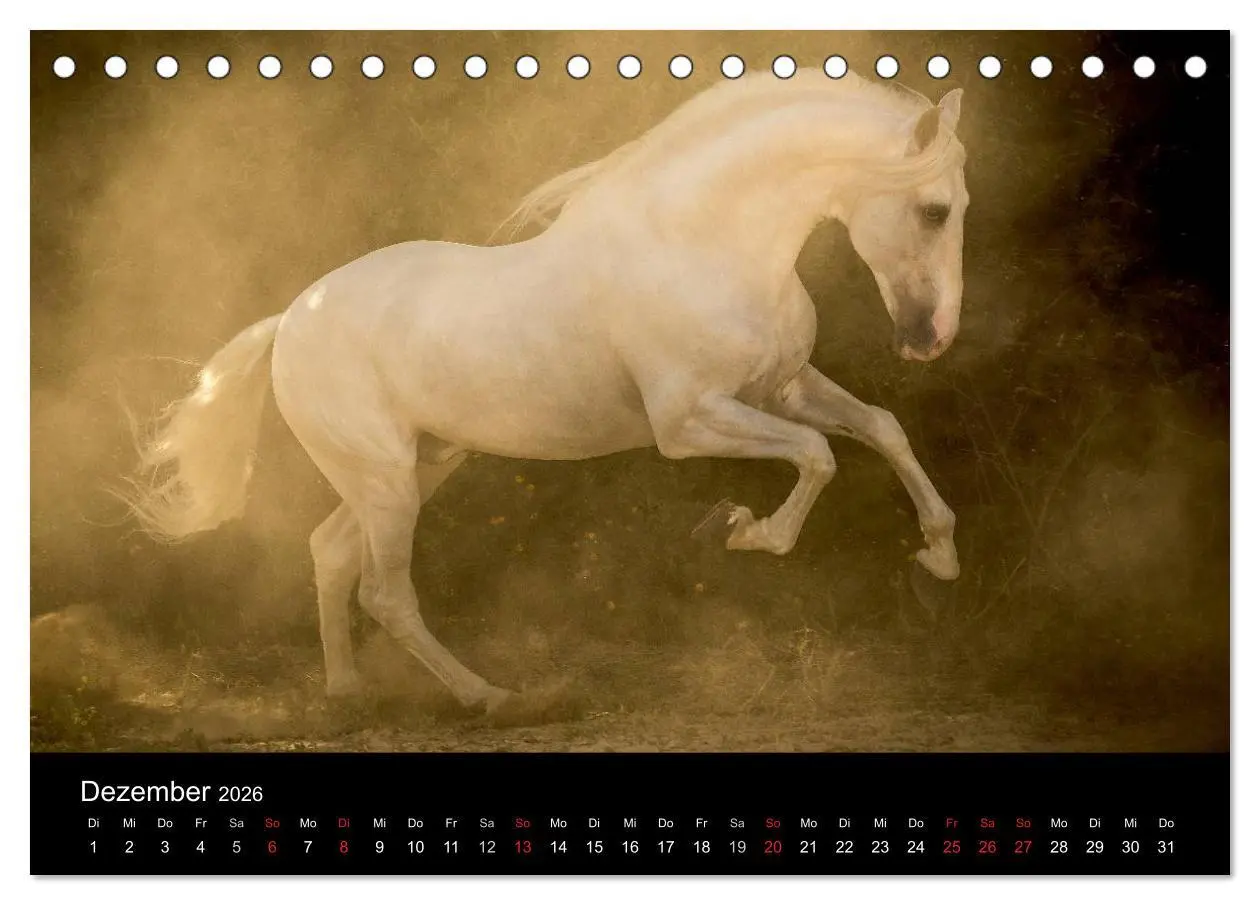 Bild: 9783516081305 | Spaniens stolze Pferde (Tischkalender 2026 DIN A5 quer), CALVENDO...