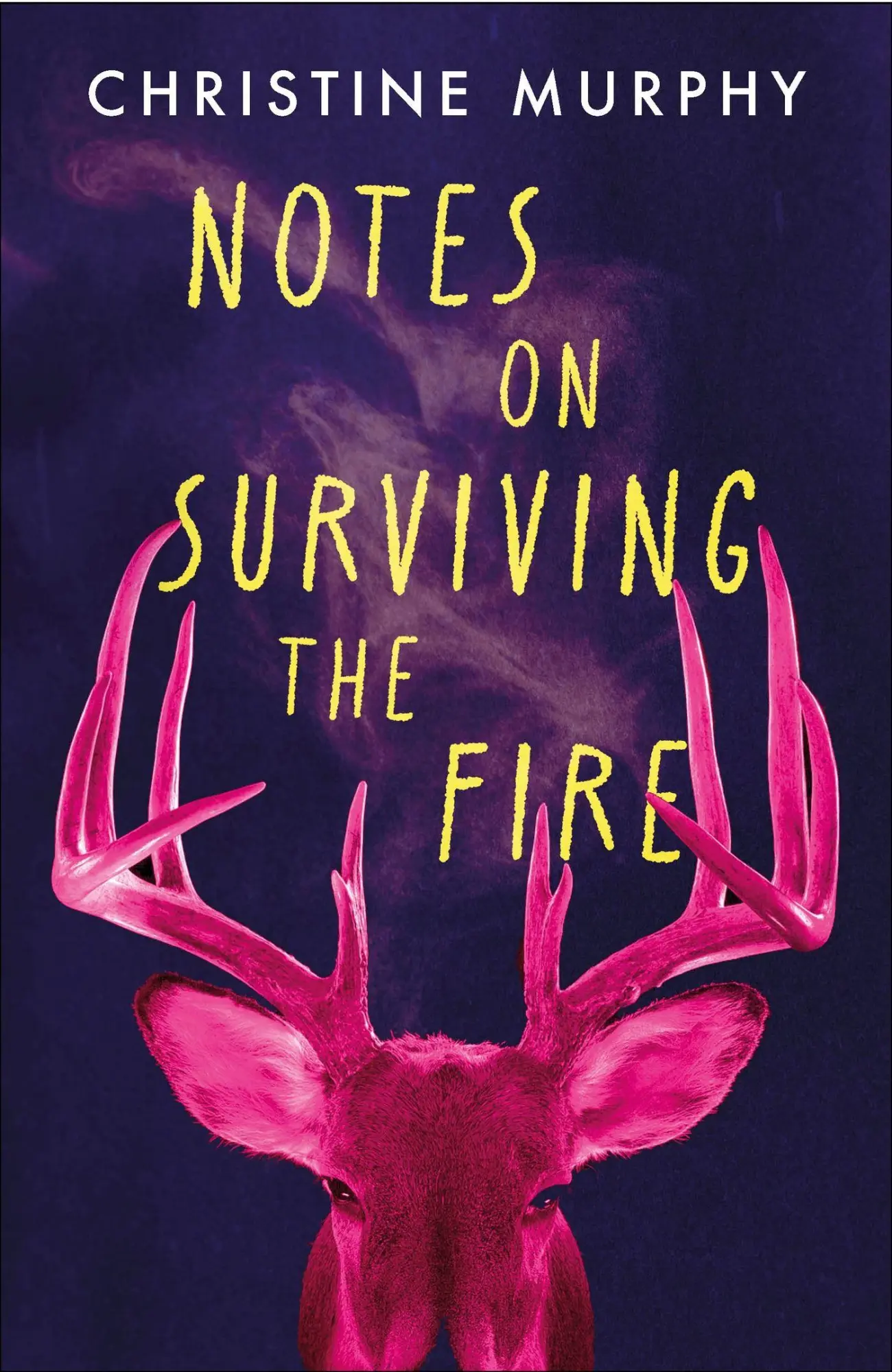 Cover: 9781035411405 | Notes on Surviving the Fire | Christine Murphy | Taschenbuch | 2025