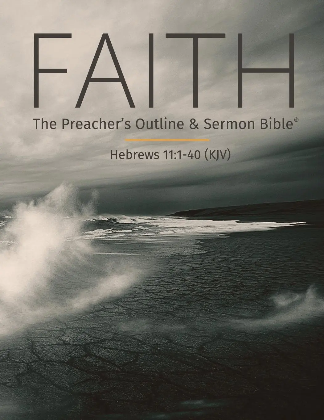Cover: 9781574071405 | Faith | The Preacher's Outline &amp; Sermon Bible: King James Version