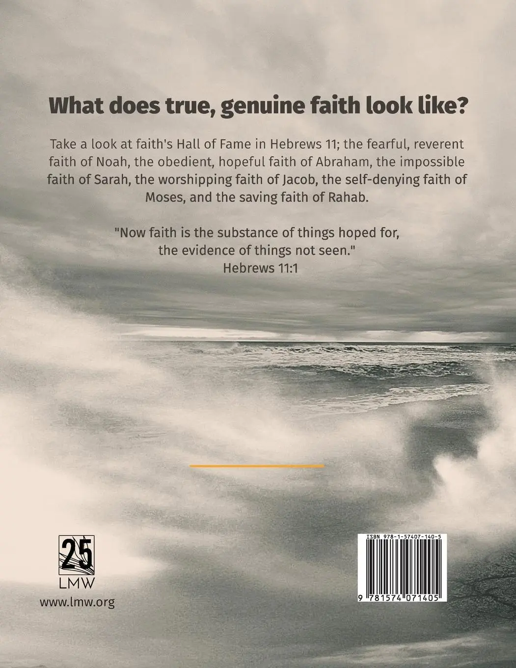 Rückseite: 9781574071405 | Faith | The Preacher's Outline &amp; Sermon Bible: King James Version