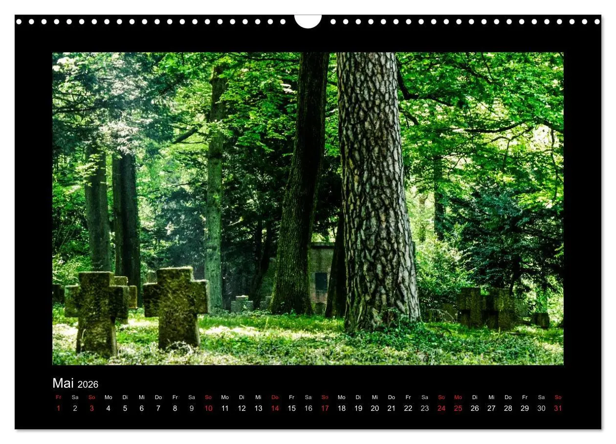 Bild: 9783516071405 | Heidelberg Views - Heidelberger Ansichten (Wandkalender 2026 DIN A3...