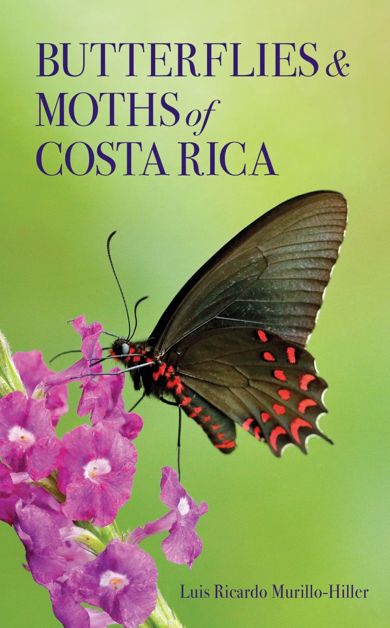 Cover: 9781501781605 | Butterflies and Moths of Costa Rica | Luis Ricardo Murillo-Hiller