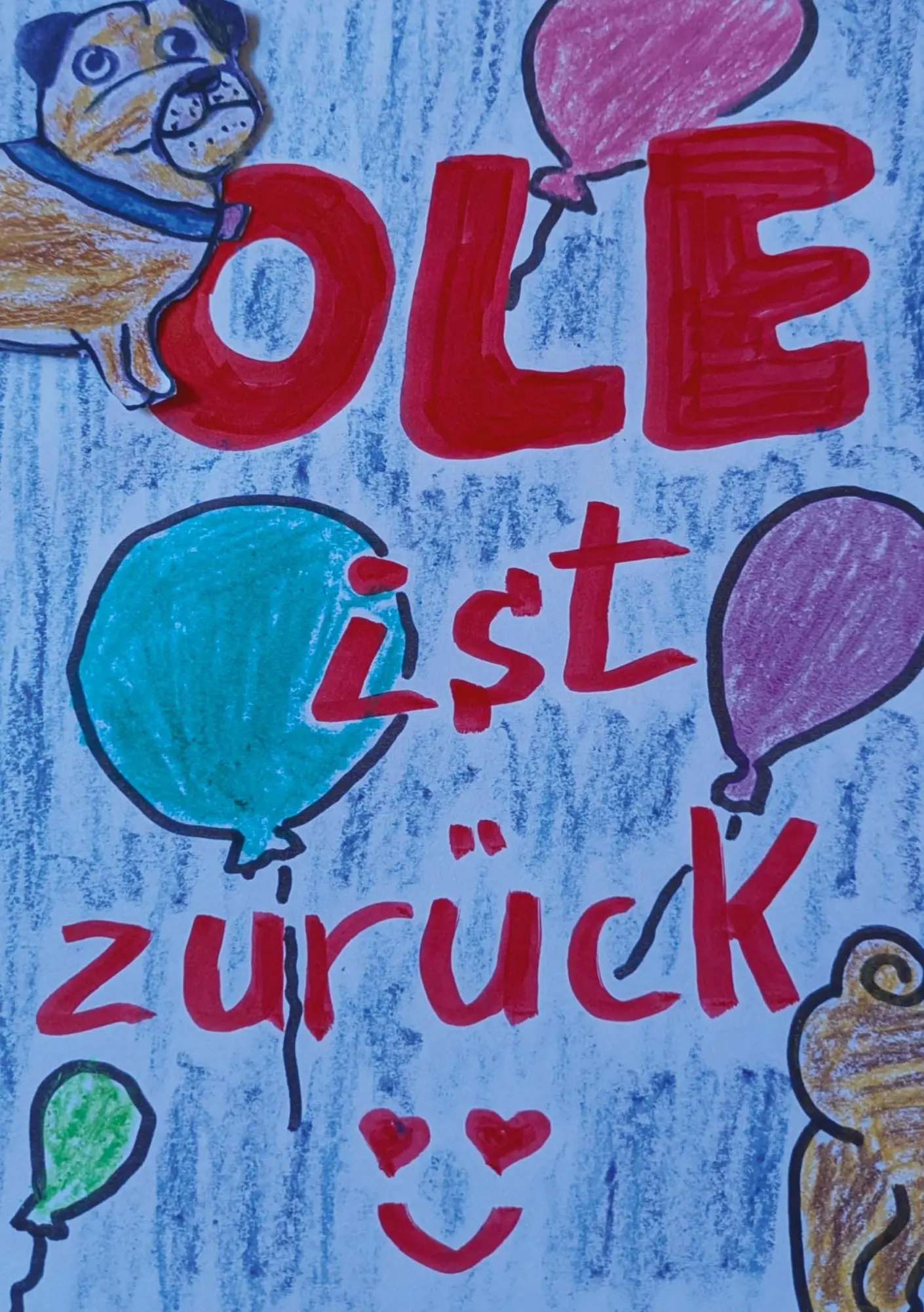 Cover: 9783384601605 | Ole ist zurück | Aus dem Leben von Mops Ole | Michaela Daum | Buch