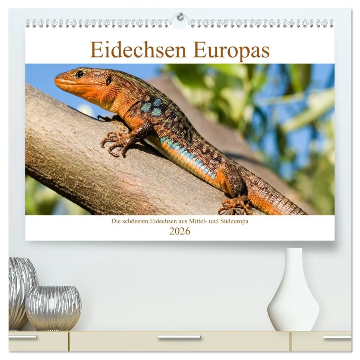 Cover: 9783457651605 | Eidechsen Europas (hochwertiger Premium Wandkalender 2026 DIN A2...