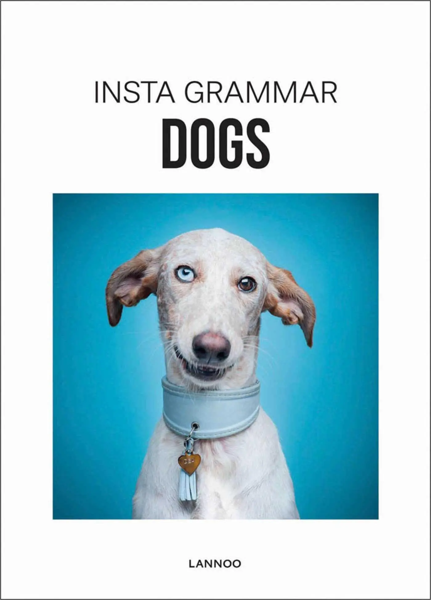 Cover: 9789401441605 | Insta Grammar Dogs | Irene Schampaert | Buch | Englisch | 2017