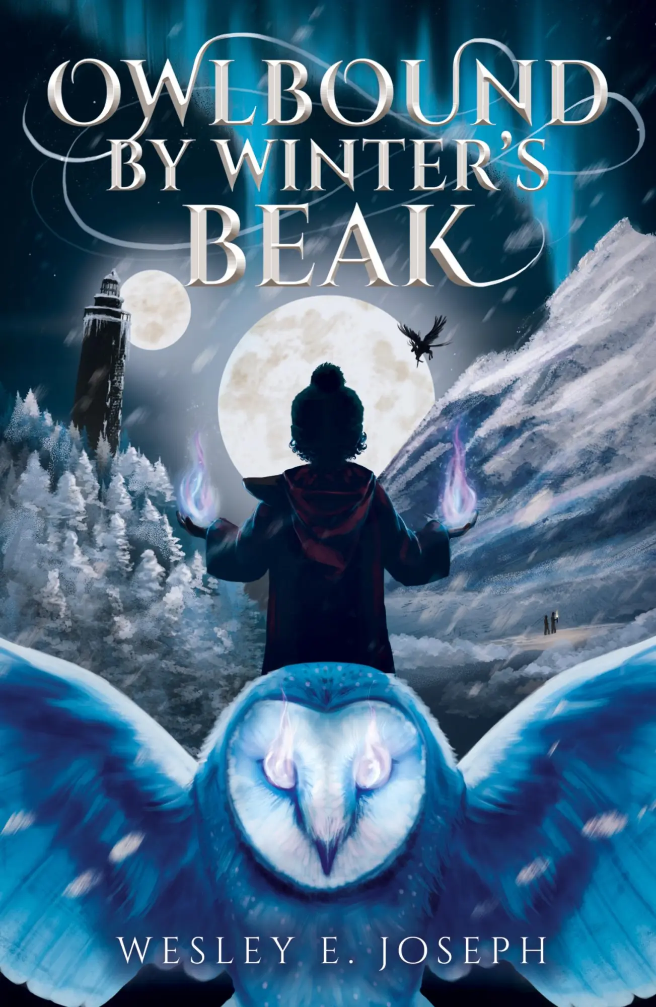 Cover: 9789464981605 | Owlbound by Winter's Beak | Wesley E. Joseph | Taschenbuch | Englisch