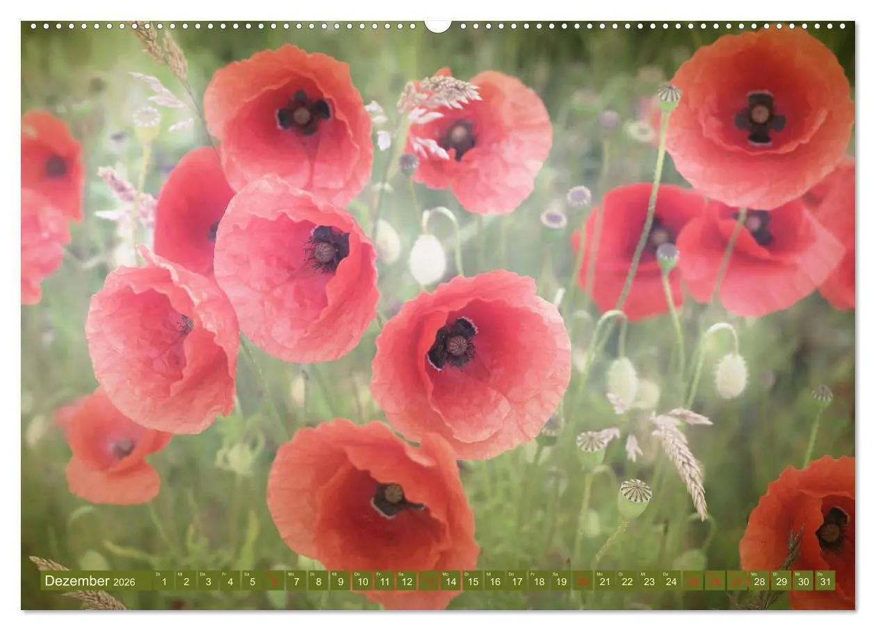 Bild: 9783457711705 | Mohnblumen - Fotografie mit Magie (hochwertiger Premium...