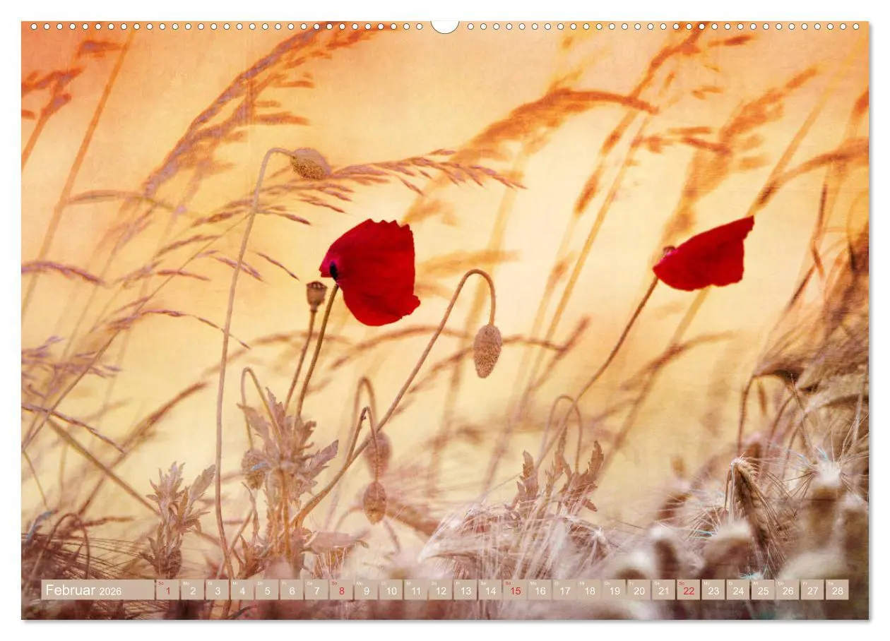 Bild: 9783457711705 | Mohnblumen - Fotografie mit Magie (hochwertiger Premium...