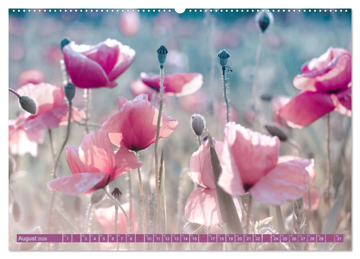 Bild: 9783457711705 | Mohnblumen - Fotografie mit Magie (hochwertiger Premium...