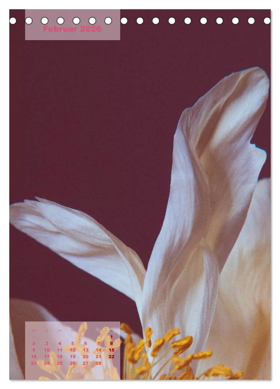 Bild: 9783516421705 | Die Königin der Rosen (Tischkalender 2026 DIN A5 hoch), CALVENDO...