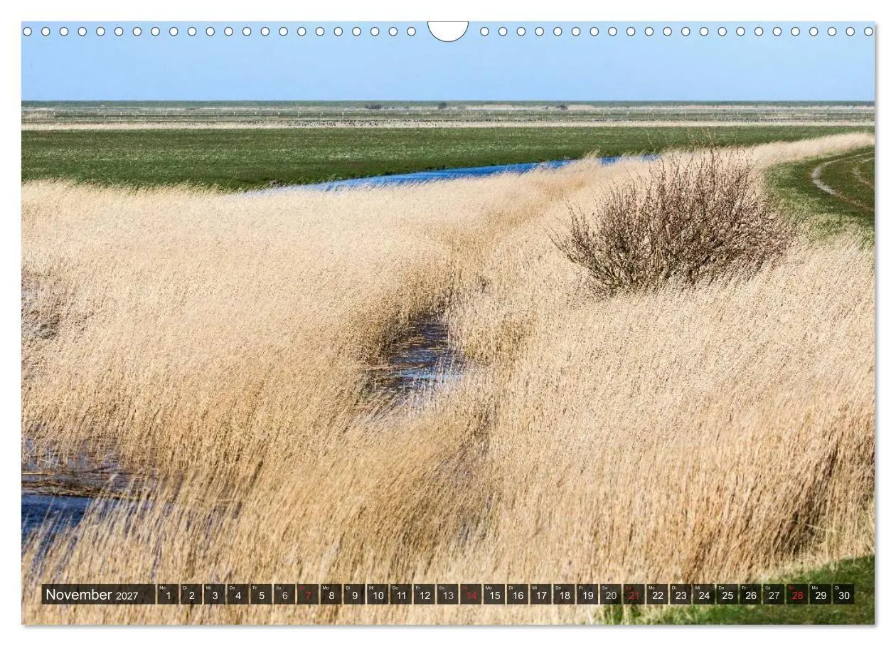 Bild: 9783594021705 | Rømø (Wandkalender 2027 DIN A3 quer), CALVENDO Monatskalender | 2027