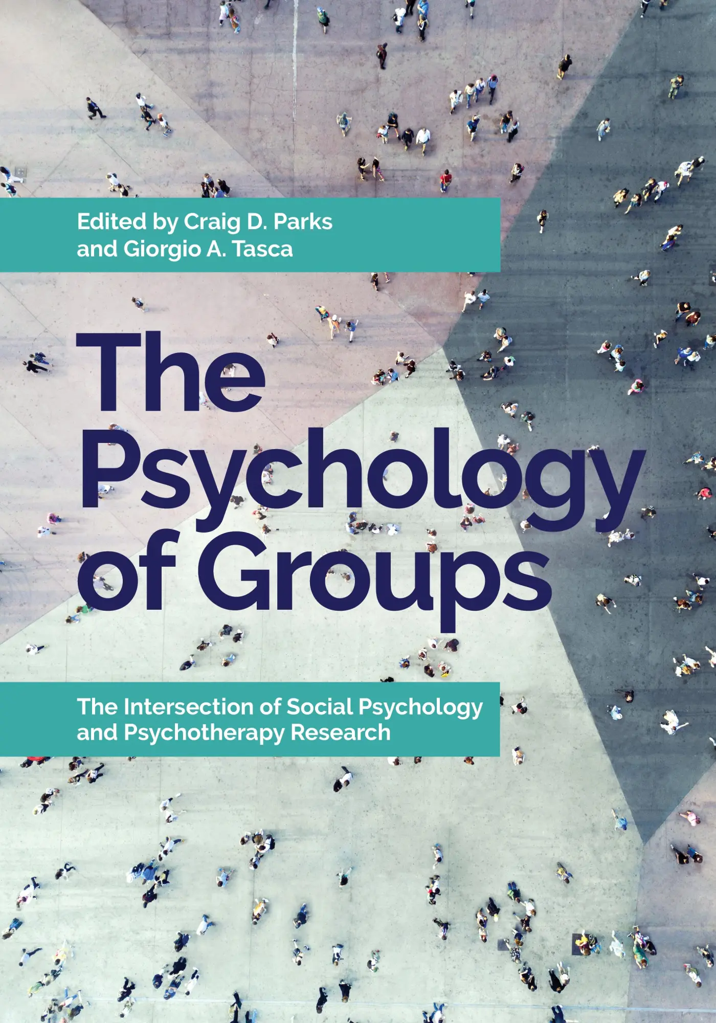 Cover: 9781433831805 | The Psychology of Groups: The Intersection of Social Psychology and...