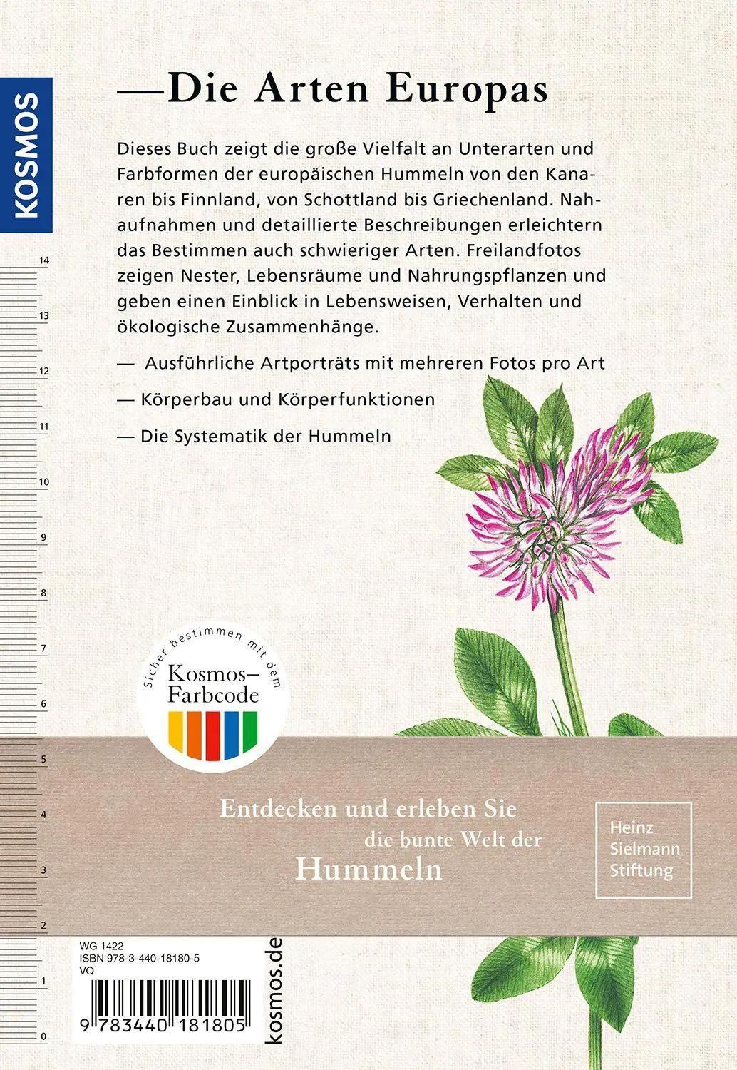 Bild: 9783440181805 | Der KOSMOS Hummelführer | Hannes Petrischak | Taschenbuch | 240 S.