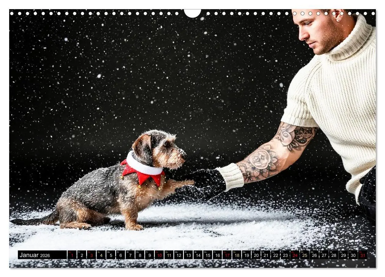 Bild: 9783516721805 | Coole Typen - Rauhaardackel (Wandkalender 2026 DIN A3 quer),...