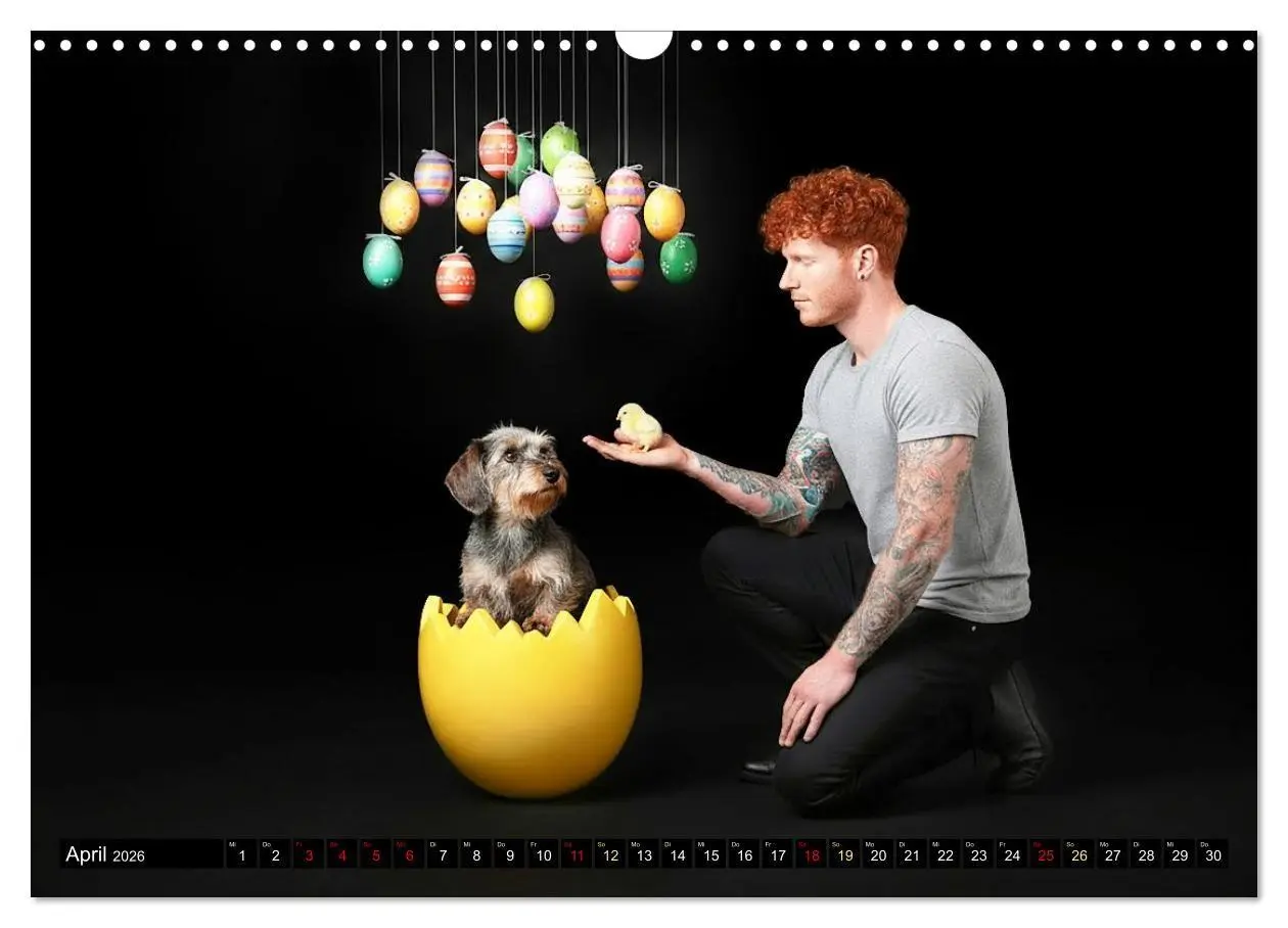 Bild: 9783516721805 | Coole Typen - Rauhaardackel (Wandkalender 2026 DIN A3 quer),...