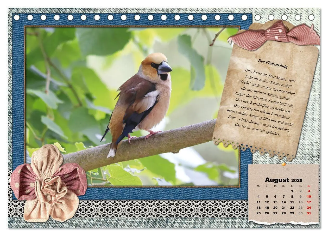 Bild: 9783435081905 | Der poetische Vogelkalender (Tischkalender 2025 DIN A5 quer),...