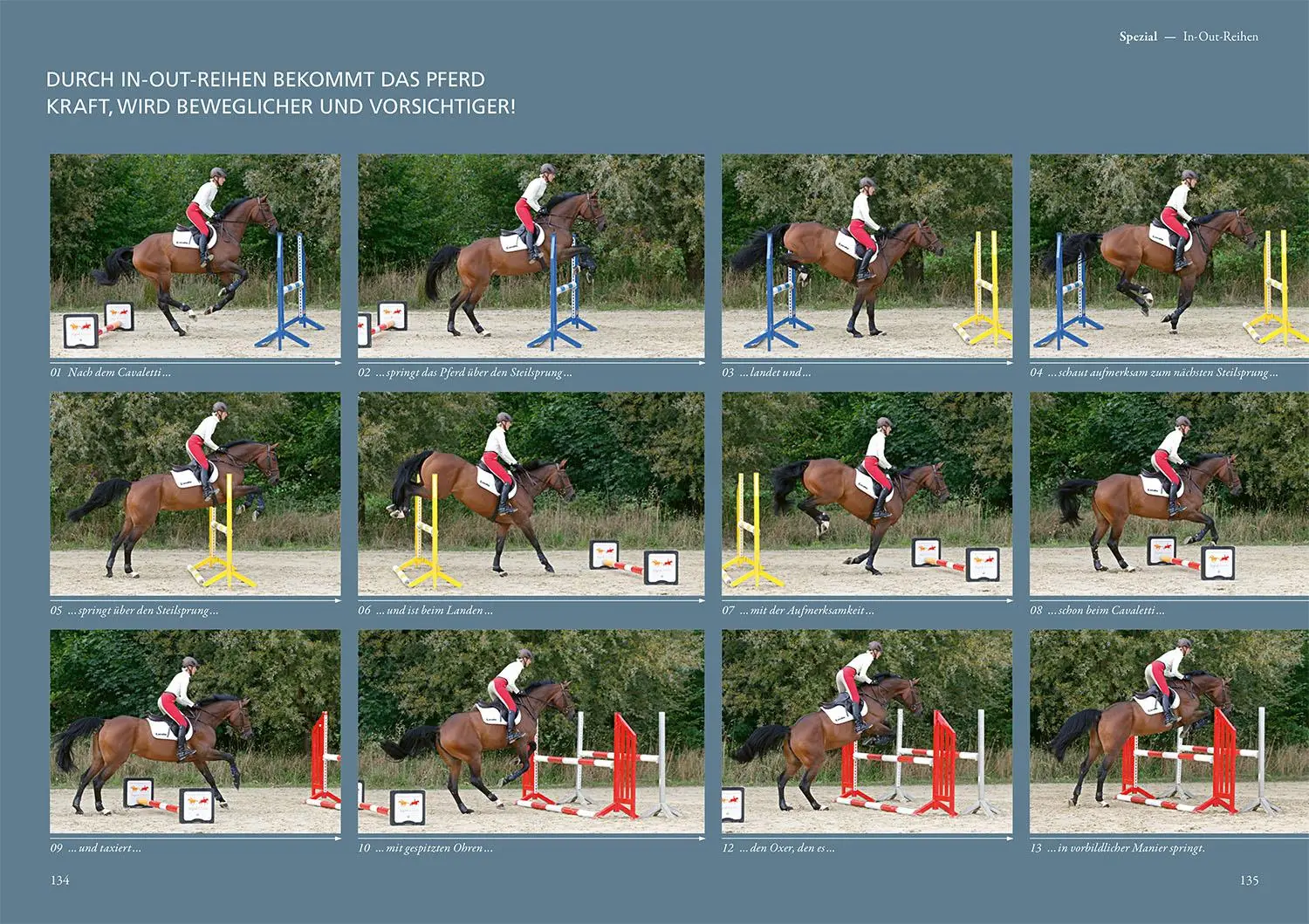 Bild: 9783440171905 | Cavaletti | Ingrid Klimke (u. a.) | Buch | 160 S. | Deutsch | 2025