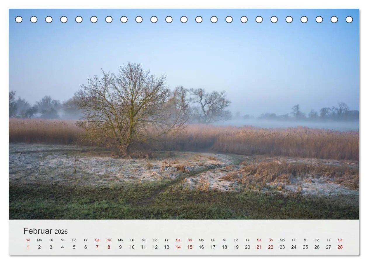 Bild: 9783457311905 | Magdeburg - Elbe, Dom ... und noch viel mehr! (Tischkalender 2026...