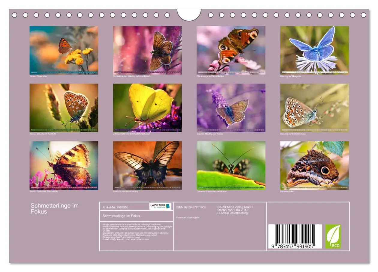 Bild: 9783457931905 | Schmetterlinge im Fokus (Wandkalender 2026 DIN A4 quer), CALVENDO...
