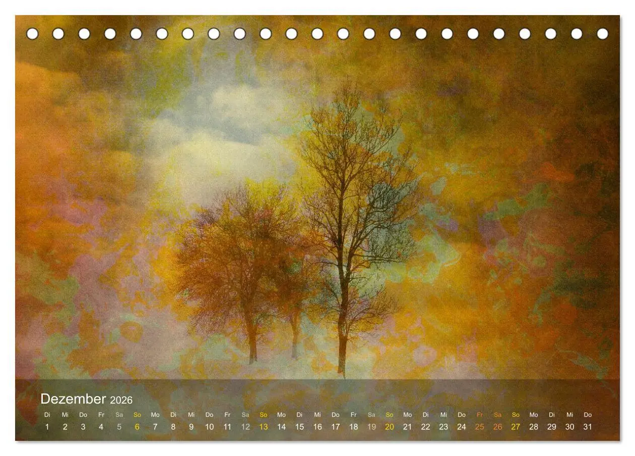 Bild: 9783457512005 | Das Schweigen der Bäume (Tischkalender 2026 DIN A5 quer), CALVENDO...