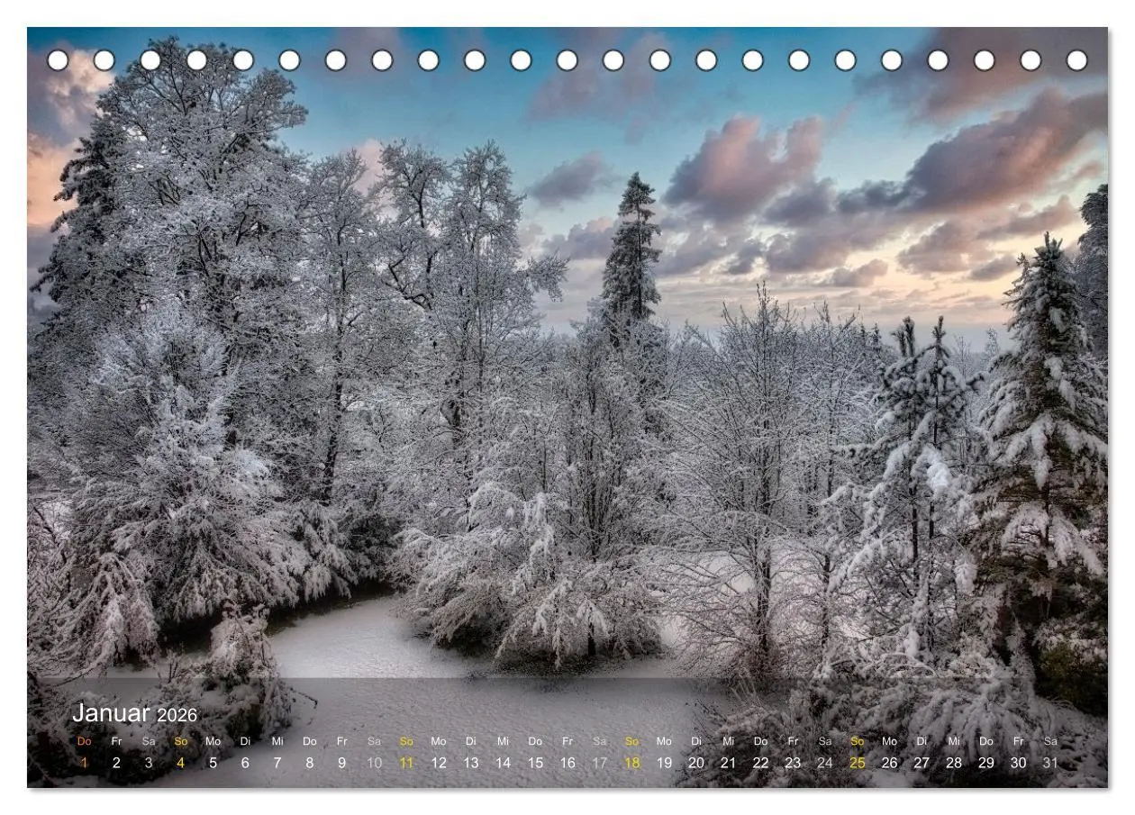 Bild: 9783457512005 | Das Schweigen der Bäume (Tischkalender 2026 DIN A5 quer), CALVENDO...