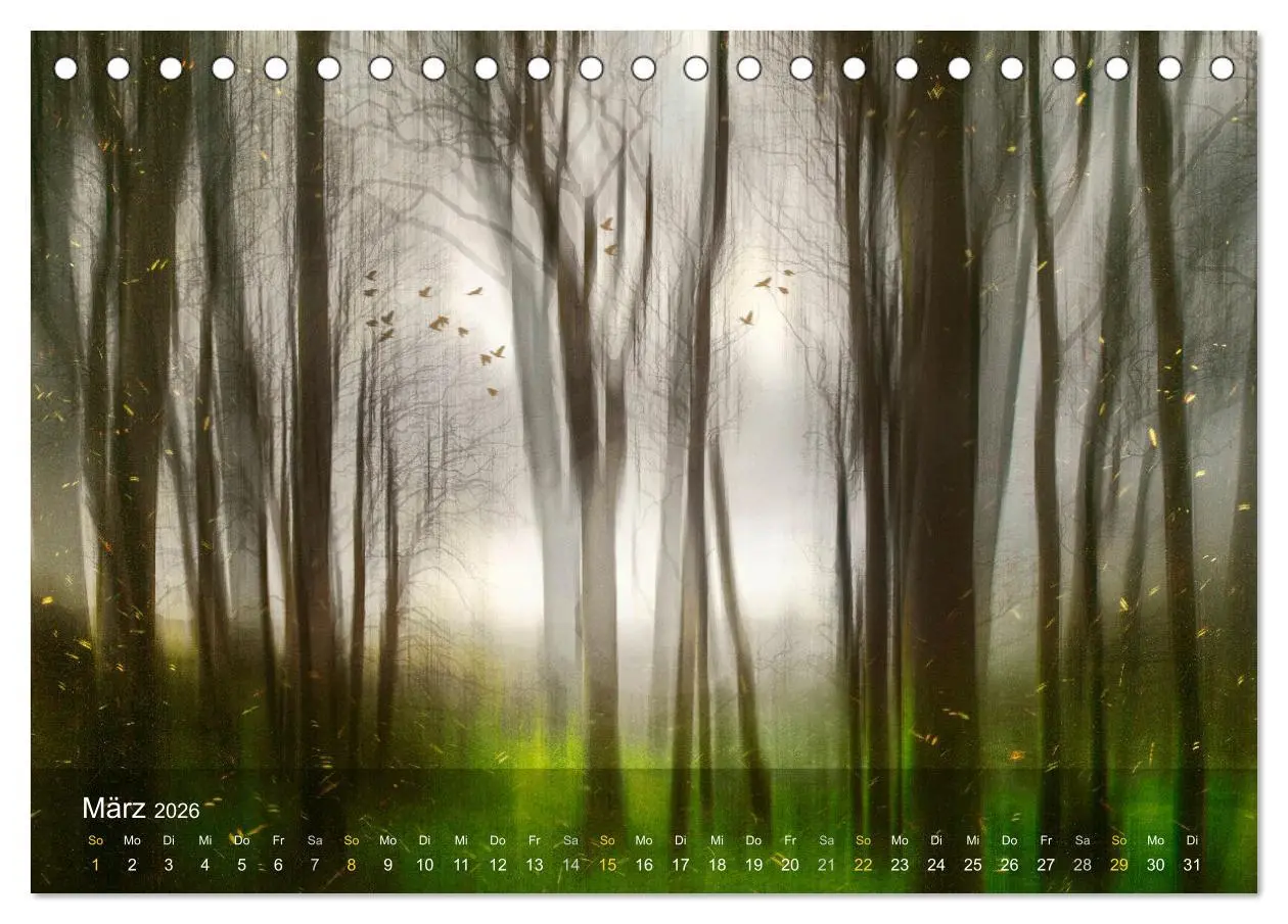 Bild: 9783457512005 | Das Schweigen der Bäume (Tischkalender 2026 DIN A5 quer), CALVENDO...