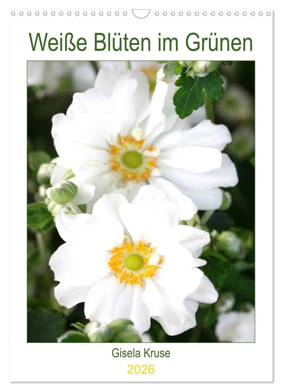 Cover: 9783516392005 | Weiße Blüten im Grünen (Wandkalender 2026 DIN A3 hoch), CALVENDO...
