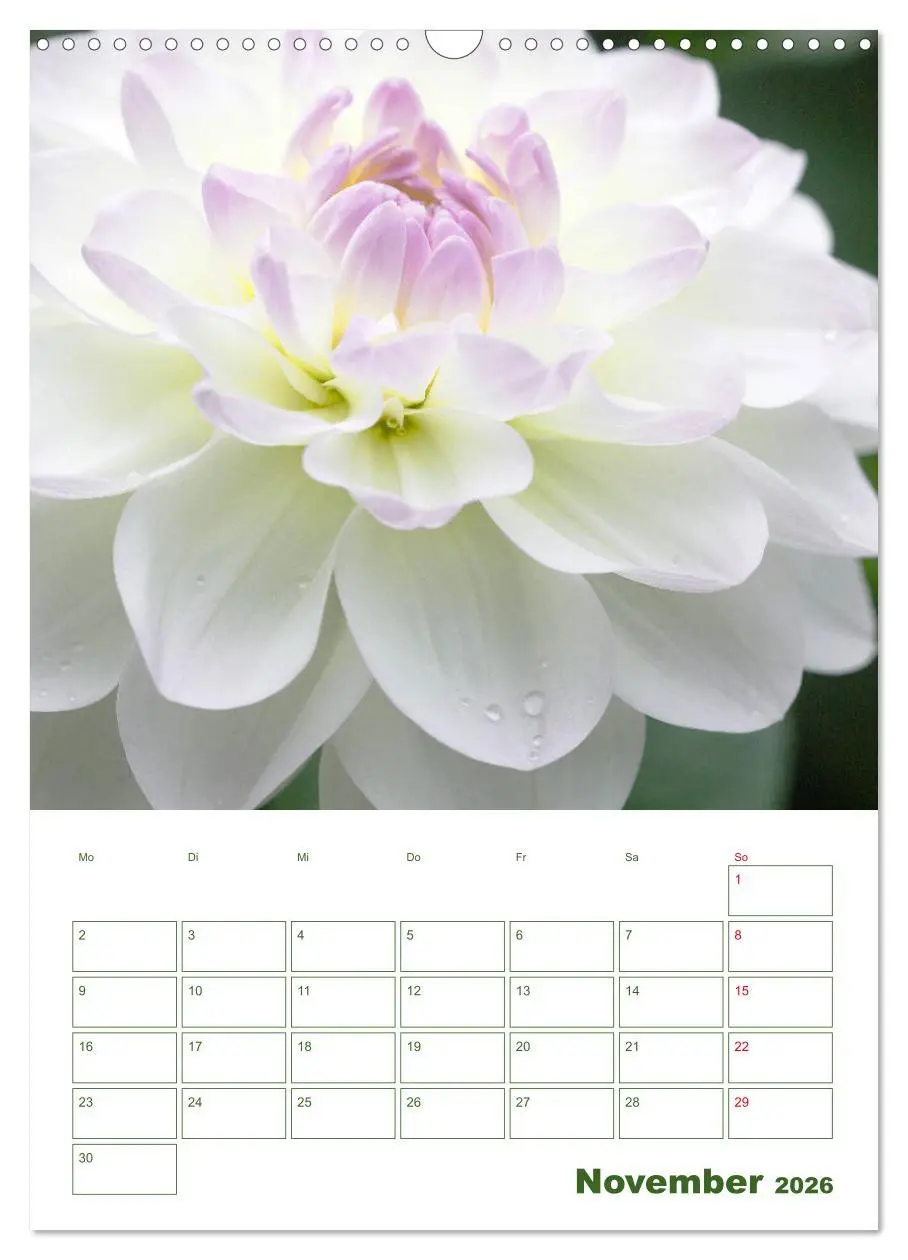 Bild: 9783516392005 | Weiße Blüten im Grünen (Wandkalender 2026 DIN A3 hoch), CALVENDO...