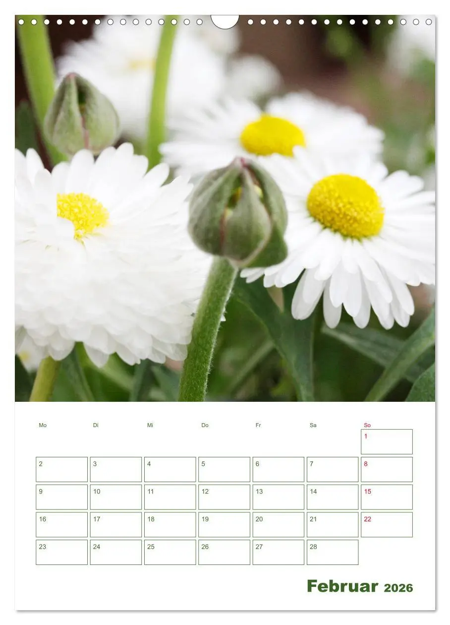 Bild: 9783516392005 | Weiße Blüten im Grünen (Wandkalender 2026 DIN A3 hoch), CALVENDO...