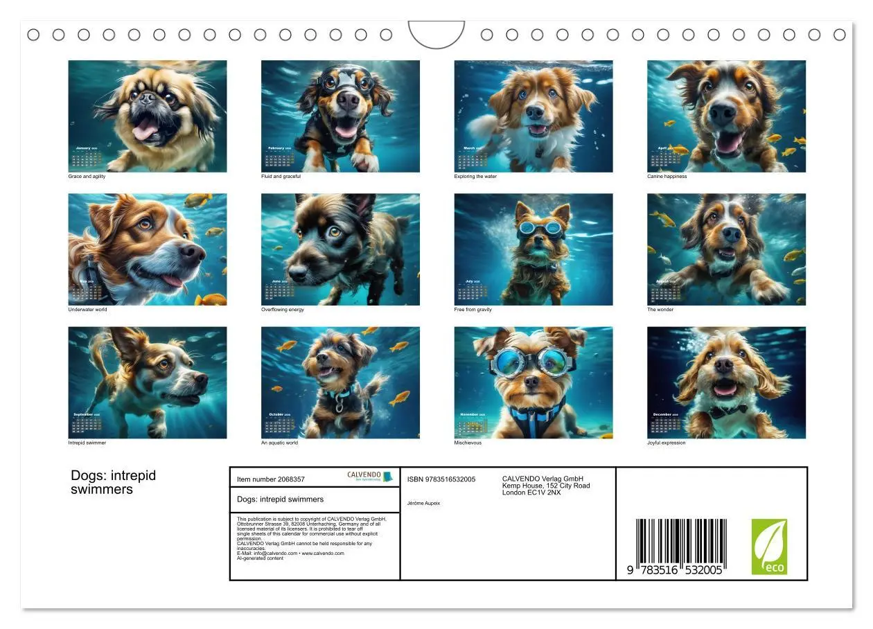 Bild: 9783516532005 | Dogs: intrepid swimmers (Wall Calendar 2026 DIN A4 landscape),...