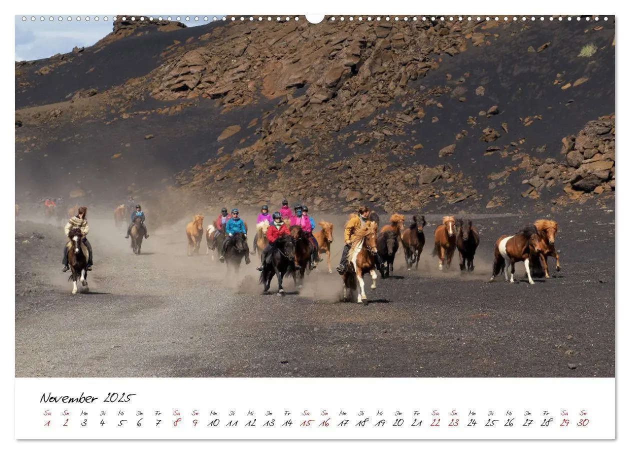 Bild: 9783435272105 | Islandpferde take it Isi (Wandkalender 2025 DIN A2 quer), CALVENDO...